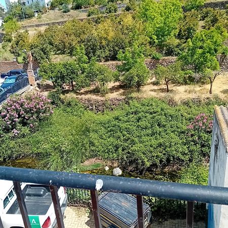فيلا Casita تولوكس المظهر الخارجي الصورة